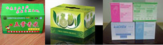 全自動裝箱機(jī)